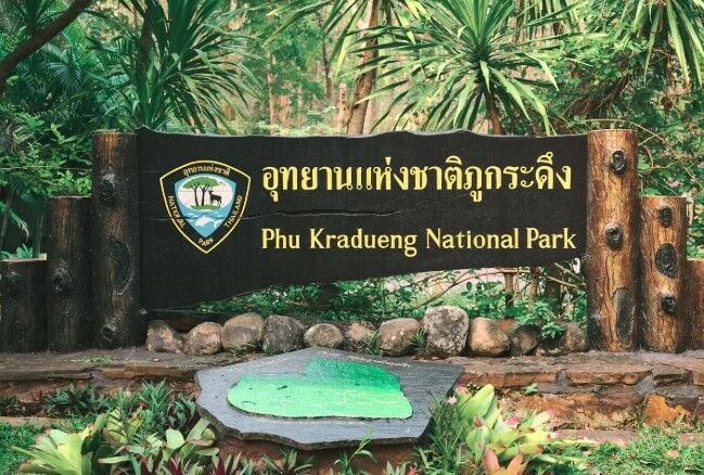 Национальный парк Фу Крадуенг закрывается после нападения слона