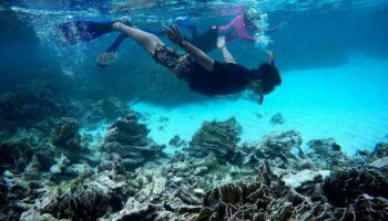 Нелегальные иностранные гиды-экскурсоводы угрожают туристической индустрии Таиланда