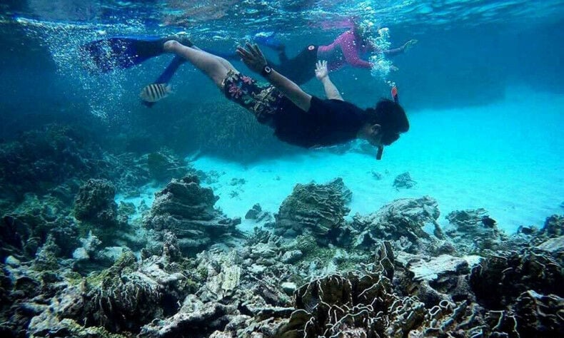 Нелегальные иностранные гиды-экскурсоводы угрожают туристической индустрии Таиланда