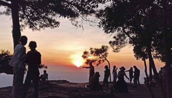 Парк Фу Крадуенг на севере Таиланда вновь открывается после гибели туриста