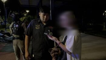 Прогулка с собакой стала дорогой: в парке Паттайи ограбили российского туриста