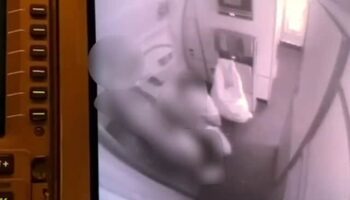 Секс на высоте мили: Swissair грозит ответный удар из-за вирусного видео во время полета