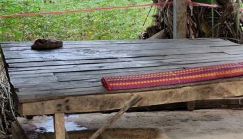 Тайский мужчина убил сводного брата из-за беспорядков, вызванных наркотиками, в Сисакете