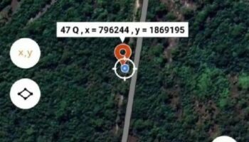 Трагедия с диким слоном унесла одну жизнь в национальном парке Лоэй