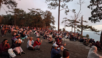 Турист, убитый диким слоном в парке Фу Крадуенг