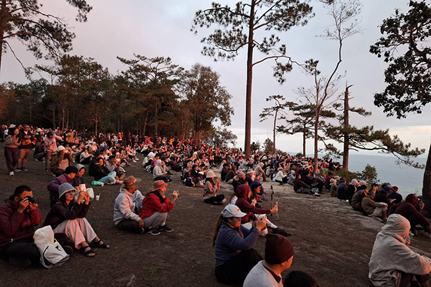 Турист, убитый диким слоном в парке Фу Крадуенг