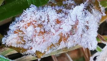 Холодное начало: Таиланд готовится к новогодним холодам