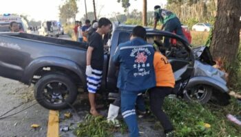 В результате аварии пикапа в Сурат Тани погибли 7 человек, в том числе 2-летние близнецы 