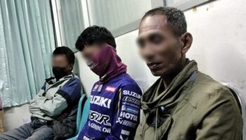 В результате паники со слонами на ярмарке в Накхонпханом пострадали пять человек (видео)