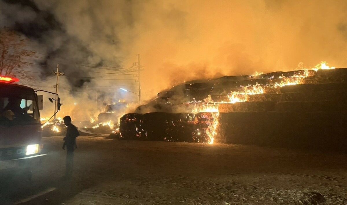 В результате пожара на заводе по производству биомассы в Пхичите сгорело 1000 тонн топлива