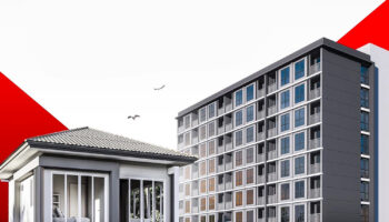 Веб-сайт "Дом для тайцев" выходит из строя из-за регистрации 12 миллионов пользователей