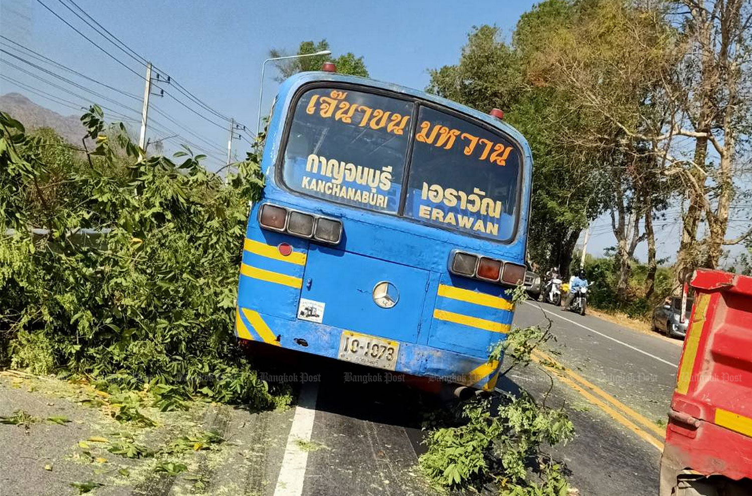 Девять человек пострадали в результате падения незаконно срубленного дерева на автобус