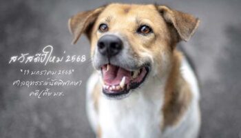 Дополнительный тюремный срок для полицейского, убившего любимую собаку кампуса