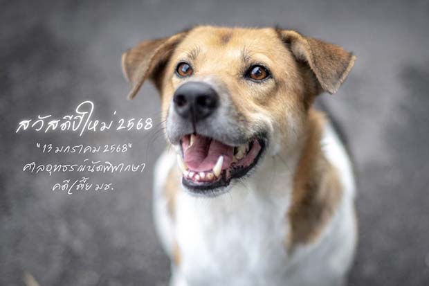 Дополнительный тюремный срок для полицейского, убившего любимую собаку кампуса