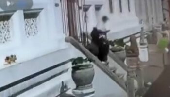 Единственный преступник: тайский мужчина задержан за кражу обуви в Бангкокском храме