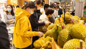 Китай разрешает ввоз дуриана после проверки на безопасность