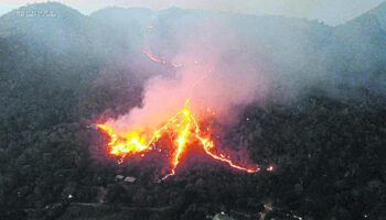 Лесные пожары сжигают 1 тыс. районов Пак Чонга