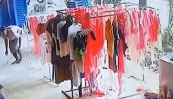 Любитель трусиков: жители возмущаются, когда извращенец крадет женское нижнее белье