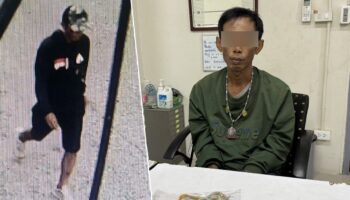 Мужчина из Таиланда арестован за нападение с молотком в храме Патхум Тани