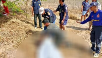 Мужчина из Чаченгсао был убит диким слоном возле поля маниоки