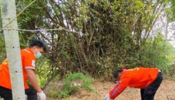 Мужчина, найденный мертвым в саду, предположительно, умер от холода