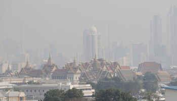 Над дымкой звучит сигнал тревоги