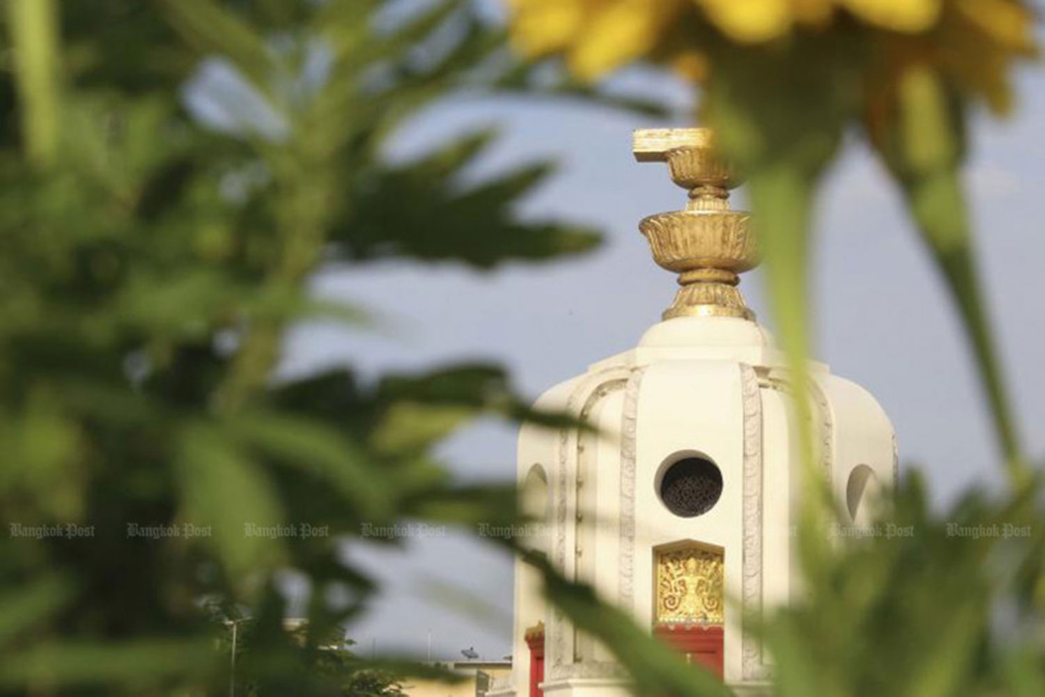 Обсуждение предложений по разработке устава пока отложено