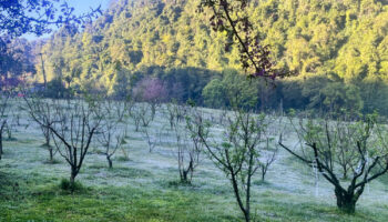 Период похолодания ‘продлится до середины февраля’