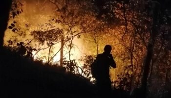 Пожары в Пак Чонге потушены после восьмидневной борьбы