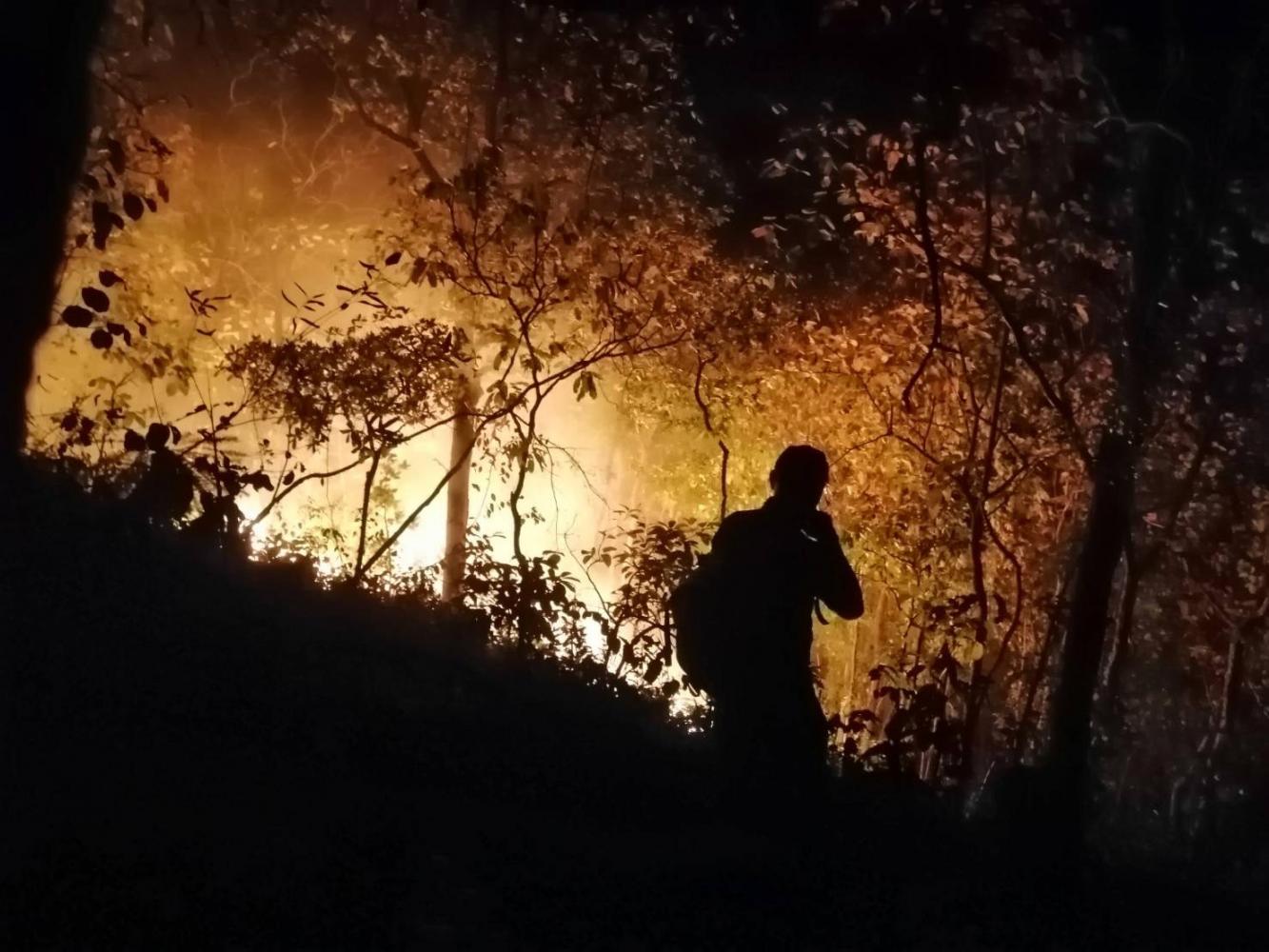 Пожары в Пак Чонге потушены после восьмидневной борьбы