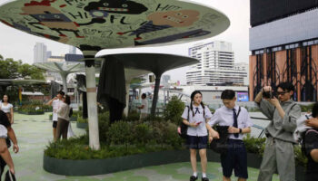 Правительство изо всех сил пытается восстановить доверие китайских туристов