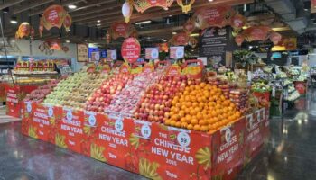 Розничная терапия: Лучшие поисковики новогодних скидок по Лунному календарю, туристы