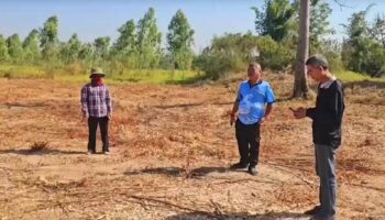 Семейная пара обманом заключила сделку на плантации эвкалипта стоимостью 80 000 бат