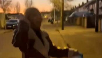 3 Тайских студента по обмену обвиняют филиппинку, принимающую гостей в Ирландии, в расизме