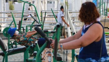 Борьба с корнями ТЧ2,5