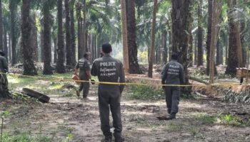 Взрывчатка обнаружена возле избирательного участка на плантации масличных пальм в Чумпхоне