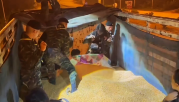 Восемь мигрантов найдены под кучей кукурузы