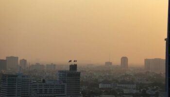 Кампания в Бангкоке направлена на сжигание рисовых полей для борьбы с загрязнением воздуха