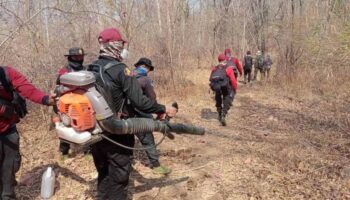 Качество воздуха в Таиланде безопасно, в Бангкоке зафиксирован самый низкий уровень PM2,5