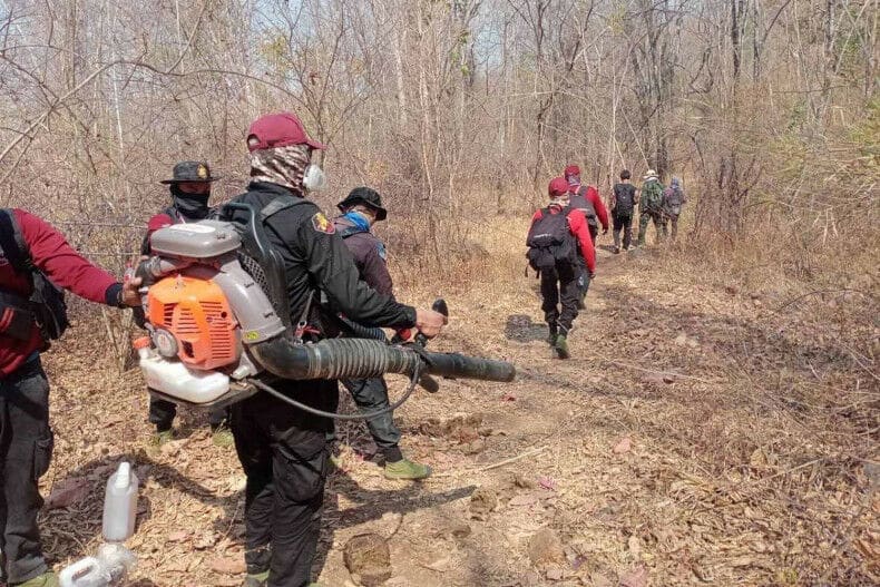 Качество воздуха в Таиланде безопасно, в Бангкоке зафиксирован самый низкий уровень PM2,5