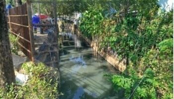 Кризис с черной водой: загрязнение снова обрушилось на пляж Камала