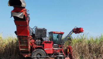 Мальчик-подросток был убит комбайном для сбора сахарного тростника