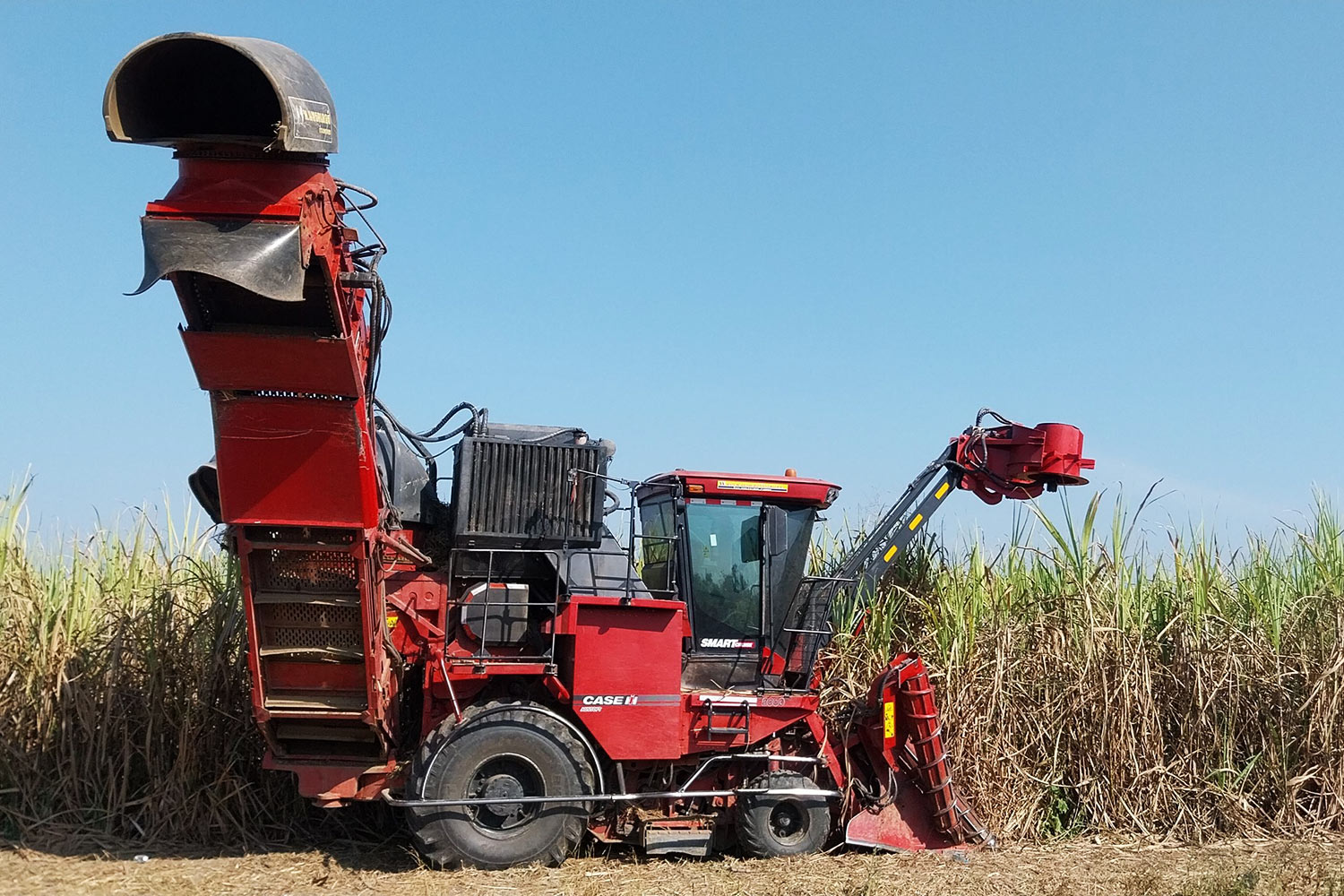 Мальчик-подросток был убит комбайном для сбора сахарного тростника