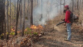 Небезопасный уровень смога на севере и в верхней части Северо-востока