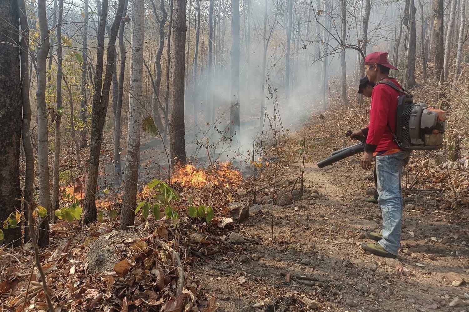 Небезопасный уровень смога на севере и в верхней части Северо-востока