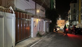 Ночной рев льва в Чонбури вызвал панику и реакцию полиции