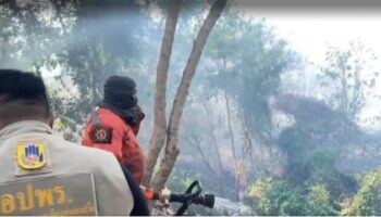 Пожарные локализовали угрозу лесного пожара вблизи домов в Паттайе