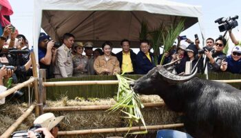 Премьер обещает выплеснуться на Юг