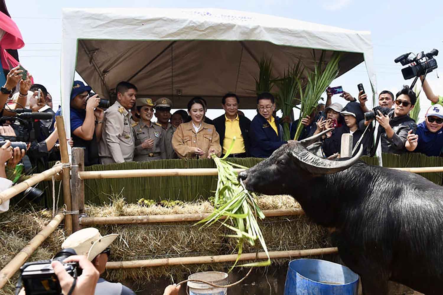 Премьер обещает выплеснуться на Юг