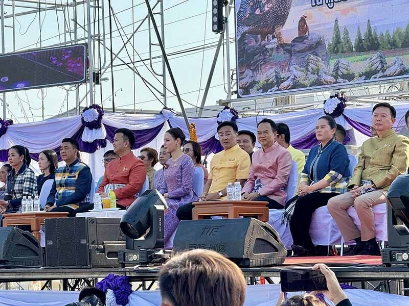 При обрушении сцены на мероприятии в Ясотоне пострадал депутат парламента, другие люди (видео)